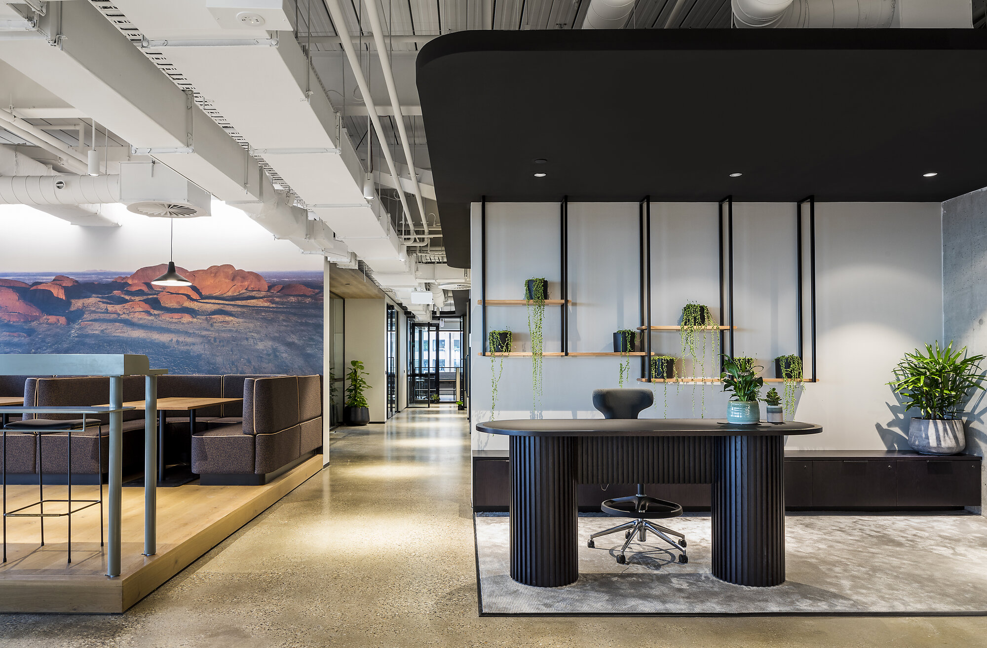 Interior photograph of Space&Co. Exhibition St by Rachael Dere